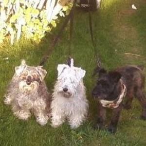 Meet your Posher, Sherry